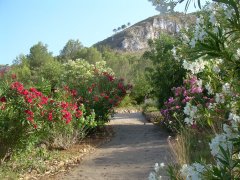 Vejen op mod hovedbygningen